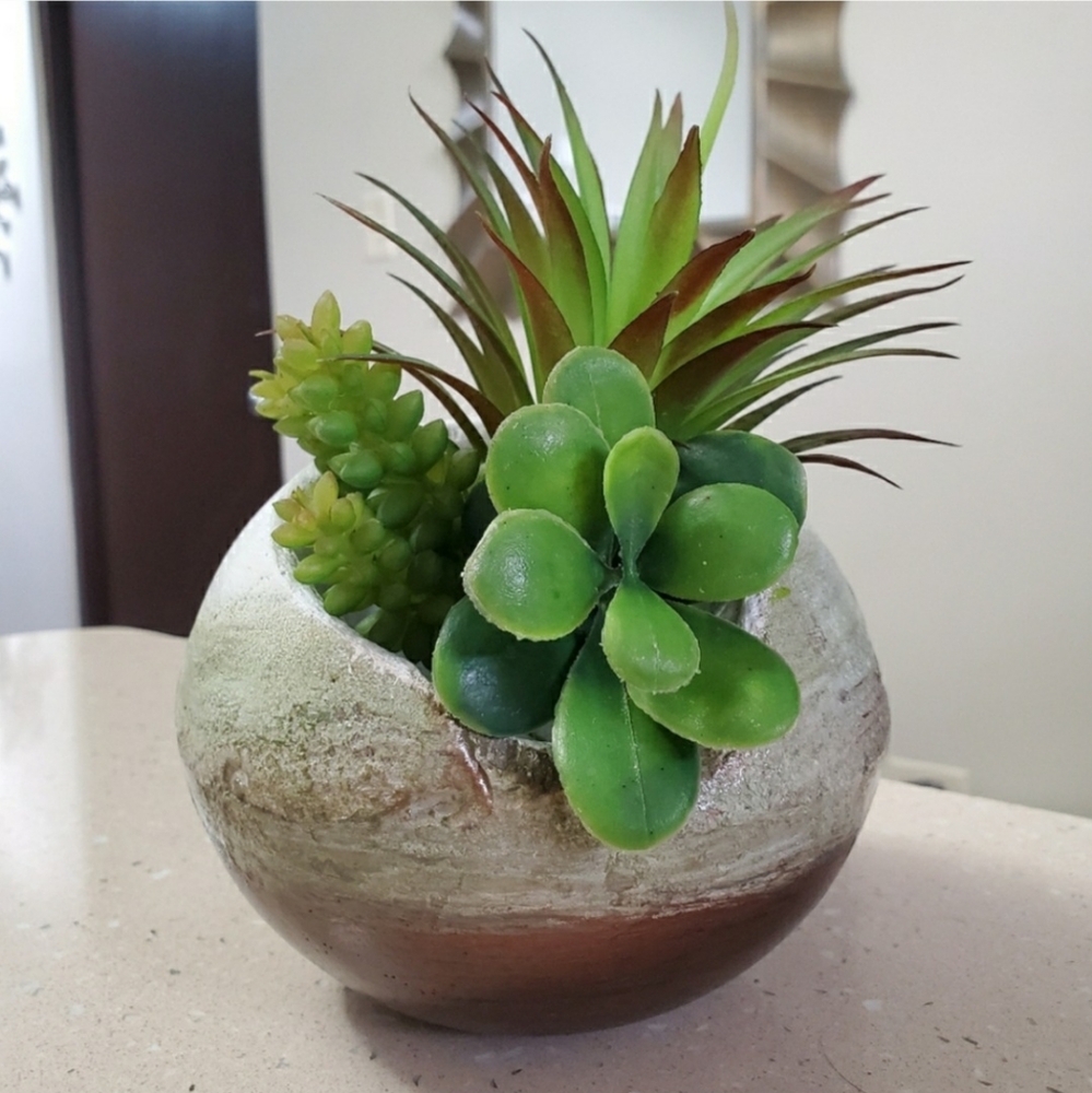 Asymetrical Concrete Planter